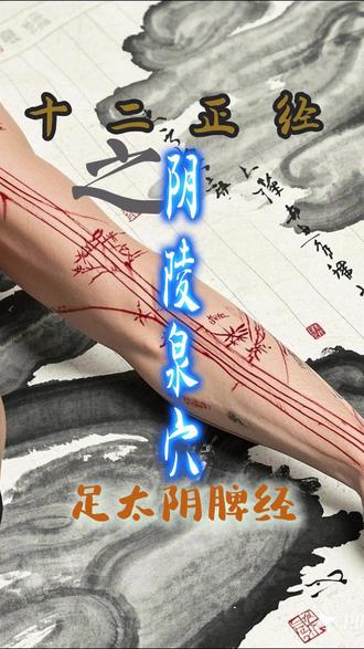 十二正经-足太阴脾经-阴陵泉穴 【阴陵泉穴的位置】位于人体的小腿内侧,膝下胫骨内侧凹陷中,与足三里穴相对(或当胫骨内侧髁后下方凹陷处)
【取穴方法】“取曲膝之横纹尖头处”(《扁鹊神应针灸玉龙经》)。应采用正坐或仰卧的取穴姿势。
脾经合穴。合,会合也。本穴为脾经气血物质中的脾土微粒会合之处,故为脾经合穴。
【穴位配伍】
1、阴陵泉穴配足三里穴、上巨虚穴主治腹胀、腹泻;
2、阴陵泉穴配中极穴、膀胱俞穴、三阴交穴主治小便不利。
3、阴陵泉穴配肝俞穴、至阳穴治黄疸;
4、阴陵泉透阳陵泉穴治膝痛。
用点揉法(用力点下去,然后开始揉它。一次不要按揉的时间太久……有健脾益气利湿的作用。)每天坚持按揉阴陵泉穴10分钟,就可以除脾湿。
按摩手法:拇指指端放于阴陵泉穴处,先顺时针方向按揉2分钟,再点按半分钟,以酸胀为度。
【艾灸事项】阴陵泉穴,艾炷灸3-5壮;或艾条灸5-15分钟。
【针灸疗法】阴陵泉穴,直刺1-1.5寸。治疗膝痛可向阳陵泉或委中方向透刺,直刺1~2寸。#阴陵泉穴的功效与作用 #阴陵泉穴准确位置 #阴陵泉穴功效 #中医养生知识 #穴位