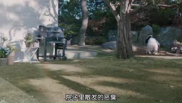 豪宅后院挖出人手,家暴男上门敲诈,下一秒直接暴毙 丈夫的泥鞋、消失的尸体、两条人命交织。到底谁才是真凶?谁又在利用谁?
#有院子的家 #韩剧 #韩剧解说 #电影解说