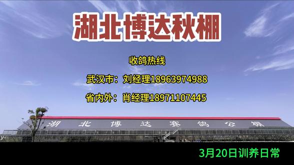 博达秋棚3月20日训养日常