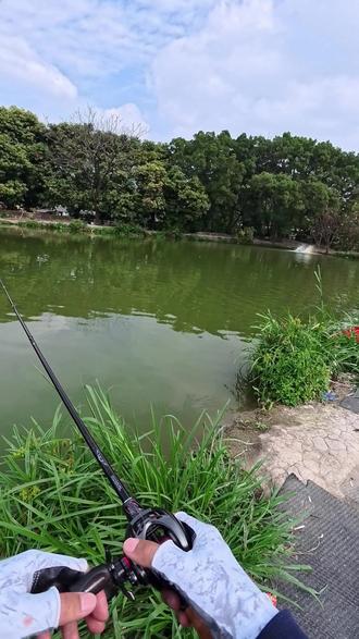 我来教大家如何用铅头钩T尾打窝