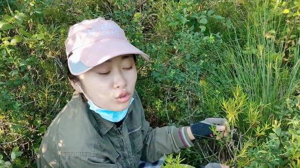 林区刺老芽 小刀凡尔赛忽悠老妈,爷俩采蘑菇爆筐了,回家张阿姨就野