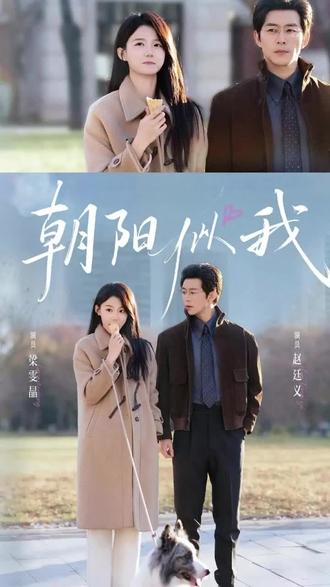 #短剧推荐 #朝阳似我