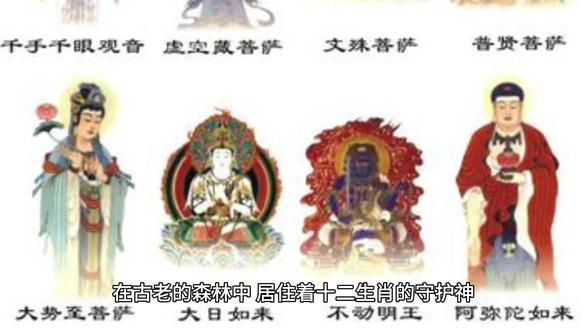 轻如鸿毛指的是什么生肖