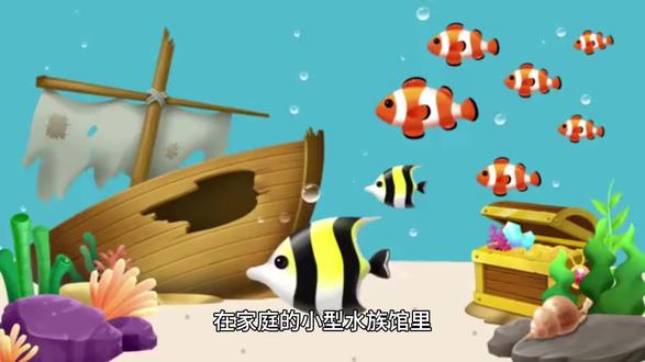 家里养的小螃蟹吃什么?