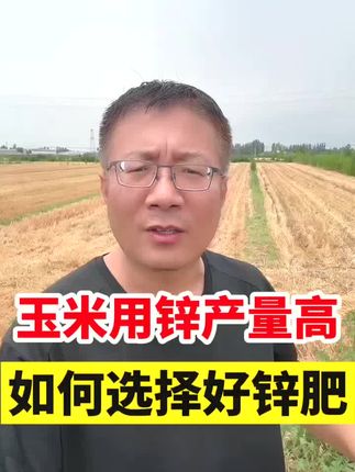 玉米正确补锌,有效提高产量,支持复配飞防的悬浮锌,厂家把底价就放在下方链接了