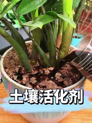 经常浇水花儿还是养不好?那是因为缺了氮磷钾等微量元素。快用这种土壤活化剂,轻松解决。