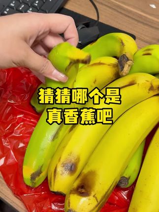 猜猜哪个是真香蕉?这么逼真的捏捏乐你玩过吗?
