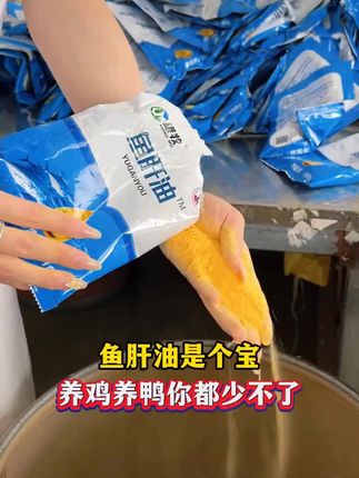 产蛋量上不去?鱼肝油拌料,慢慢见多