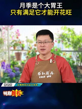 当月季长出这样的新芽嫩叶,给他撒点优肽氮肥,后期新芽长得更壮,花开得更多#月季 #爬藤月季 #花卉绿植