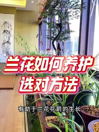 盆栽植物多做这一步勤发芽还爱,而且对植物常见的根腐、立枯、枯萎、黑根、黄叶等有很好的预防作用 c