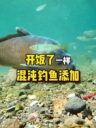 挑战整个鱼饵添加行业!新品上市!支持180天无理由退货!