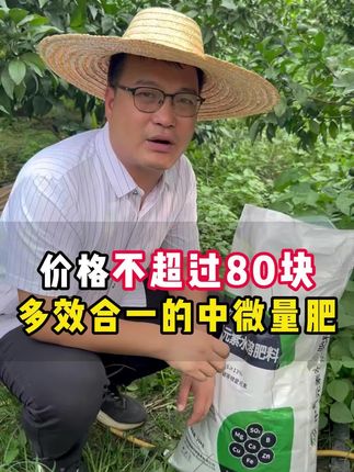 埃德姆中量元素水溶肥螯合态硼锌铁全水溶黄化复绿膨果保果氨基酸#中微量元素水溶肥 #果树种植 #柑橘种植