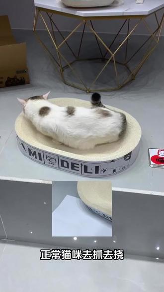 觅得狸高品质白色猫抓板 猫窝耐抓不掉