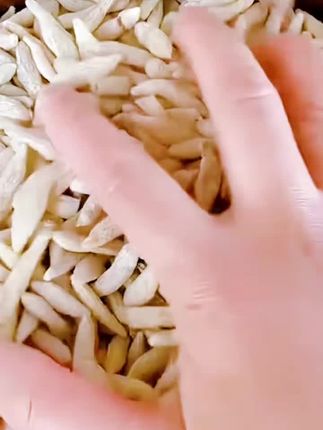 四川麦冬,颗颗饱满,粒粒精选,所见所得 #麦冬#优质农产品#滋补养生