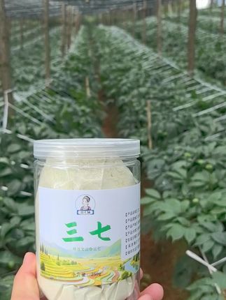 正宗云南文山三七,品质保证,价格实惠,品质好!