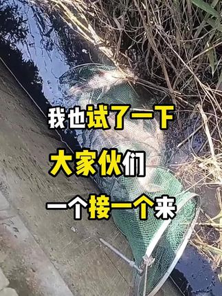 垂钓鲫鲤草鳊翘用混沌钓鱼添加,180天内没用找我退