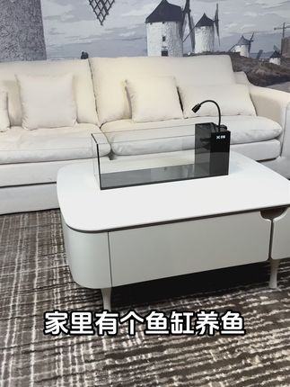 金晶超白侧滤溪流缸,轻松打造空气缸的效果,让你的家多一份自然的气息。