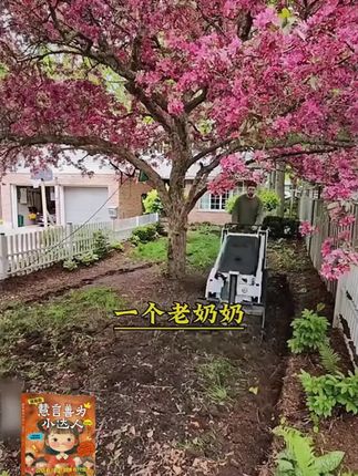 这才是孩子爱看的漫画书《慧言善为小达人》,教会孩子解决生活当中遇到的问题#教育孩子 #育儿 #为人处世 #处世智慧