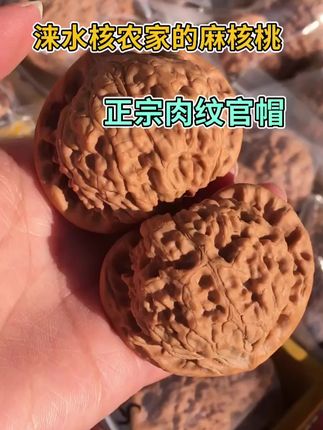 王勇麒麟纹官帽文玩核桃手玩核桃打底盘玩手把件男士古玩把玩大尺寸核桃