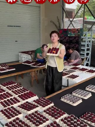 仙居东魁杨梅