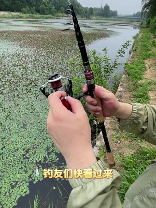 2025新款超短便携伸缩路亚竿海竿超轻超硬碳素伸缩路亚竿海竿远投抛竿钓鱼竿套装全套泛用路亚竿