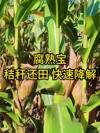 秸秆还田宝会对农田有好处吗?