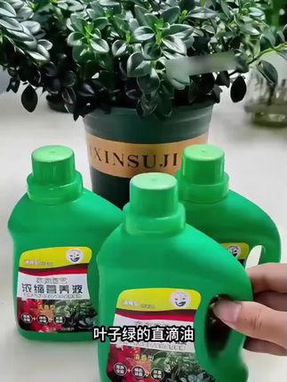 植物怎么养都不开花你就给它用这个水,很快枝繁叶茂花满盘!