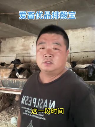 育肥牛酸中毒腿瘸站不起来,吐草团吐酸水,只需每天一勺
