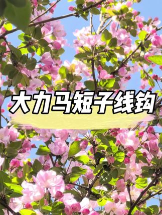 超细大力马短子线 超细超灵敏,细线也能钓大鱼