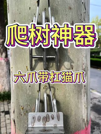 几十块的猫爪爬树神器几百块的品质,买爬树工具,教你少花钱买到更好的品质#爬树神器#爬树猫爪#爬树工具#爬树高手