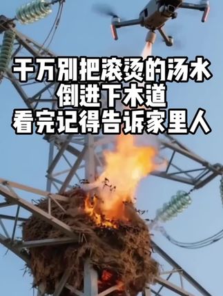 家里有小飞虫,地漏,洗菜池下水慢堵塞的,赶紧试试#管道疏通泡泡粉,好用不贵,再也不用花钱请疏通师傅了!