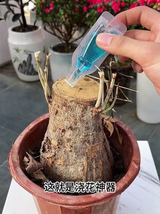 家里的盆栽出现这些情况,记得赶紧用这个免稀释植物再生液#缓释肥#养护小知识