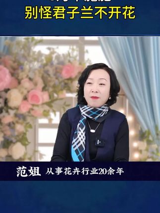 早知道君子兰吃饱了之后,这么能开花,我第一次养君子兰的时候就该把它给喂饱#养花#花卉#养花小知识 #君子兰 #养花