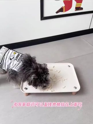宠物增高餐盘 这个增高的宠物餐盘真的很实用,还能替代喂食器增高架#好物推荐#萌宠好物#宠物餐盘