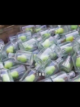 天气这么热,别喝那些碳酸饮料了,口渴可以尝尝这款雪梨枇杷汁 #雪梨枇杷汁 #夏日饮品 #夏天喝什么