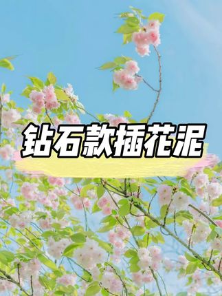 520过完十几箱花泥又没了,后台今天好多人都在回购钻 石款的花泥,用过的都说好用性价比高