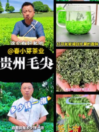 卖爆了!精选毛尖,高山人工采摘!精美包装 香气浓郁口感醇厚!超值!
