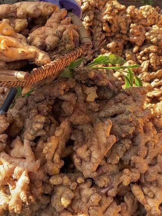 【产地自营直发】山东正宗小黄姜老姜生姜无熏硫不泡药健康美味