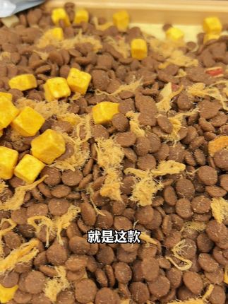 快来直播间看看#萌宠好物 #狗粮推荐 #网易天成专业好宠粮