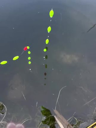 这款免调七星漂新手也不用调漂到手就能钓鱼,省去频繁调漂的烦恼#七星漂线组#七星漂钓鱼#免调漂线组