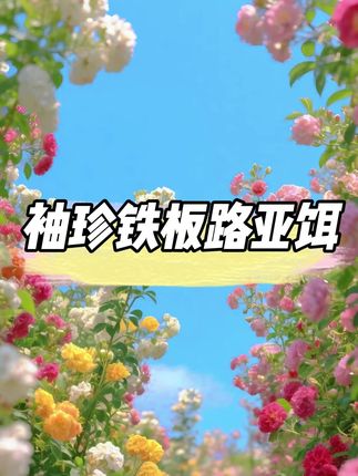 溪流微物饵 这个迷你小铁板优势在于抛的比亮片远,适口性也比普通的铁板好很多
