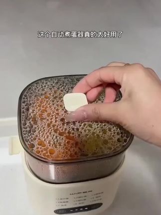 多功能蒸蛋煮蛋器全自动预约早餐机家用迷你蒸蛋器自动断电2025款