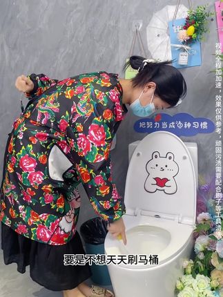 还在用马桶刷刷马桶吗,现在懂行的都在用这个洁厕块了