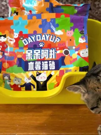 3秒吸干!结团快又牢,铲屎再也不费劲