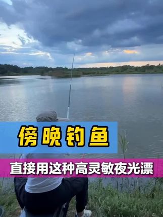 福翼双面OLED灯珠夜光漂316鲫鱼漂高灵敏细硬尾日夜两用电子漂