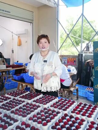 仙居东魁杨梅