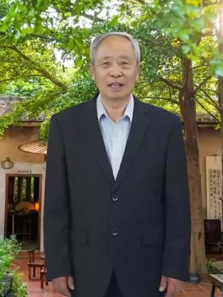 鸡蛋黄大白菜种子黄心高桩大白菜种子快菜种籽四季家庭蔬菜种子