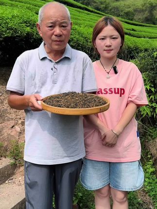 茶农直销:凤庆滇红/红螺/金丝/毛峰/松针/大金针/古树滇红/古树金针 还送十套精美茶具和五大袋滇红