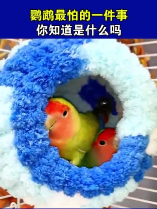 适用大众迈腾/帕萨特/探岳/途观L/途昂安全带插保护套硅胶装饰件