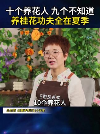 #桂花 很贪吃你知道吗?给它喂点这个,很快枝繁叶茂开花多!#桂花树 #家庭养花 #养花小知识